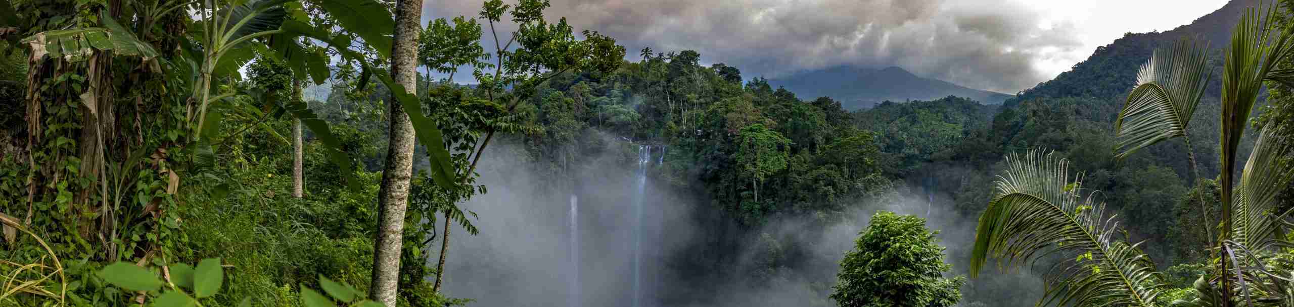 Gary Collier Blog Bali