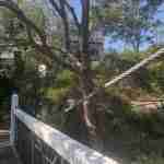 Parsley bay