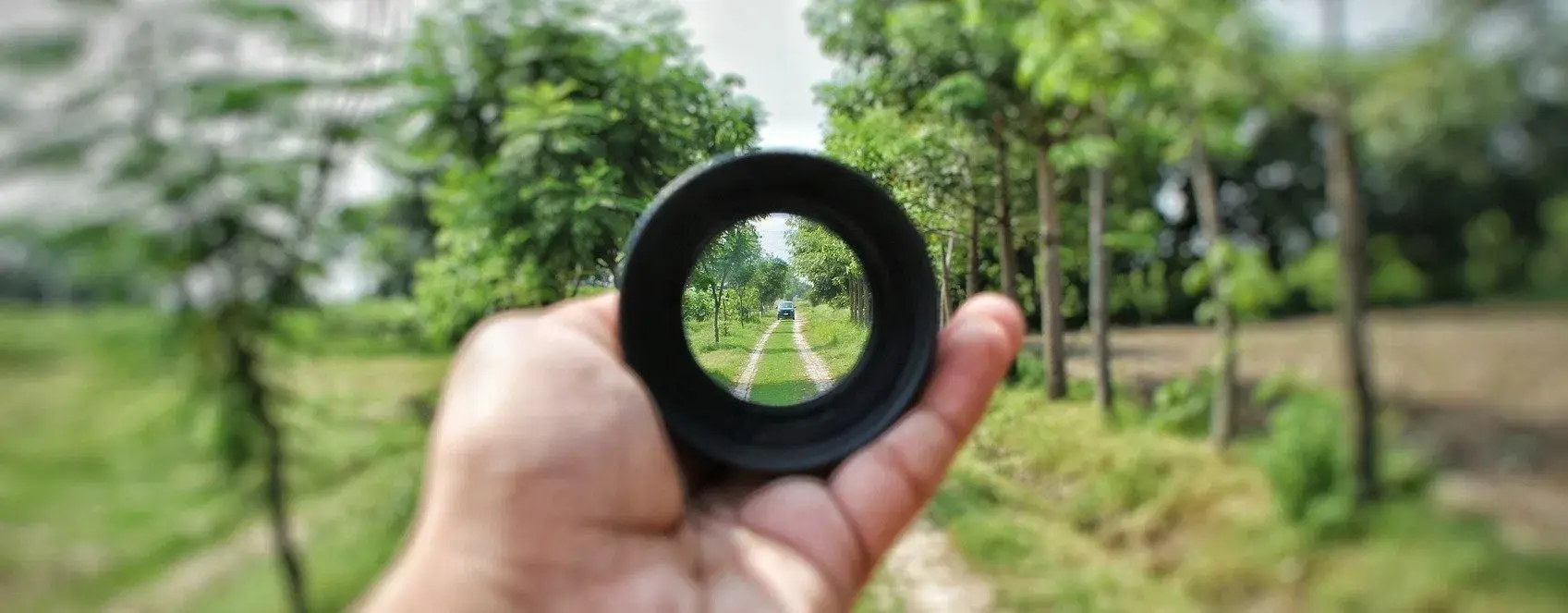 Gary Collier Blog Focus and Attention
