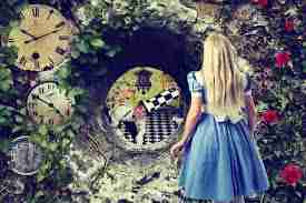Gary Collier Blog An Alternate Reality