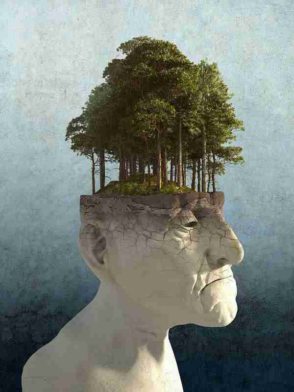 Gary Collier Blog Personal Growth