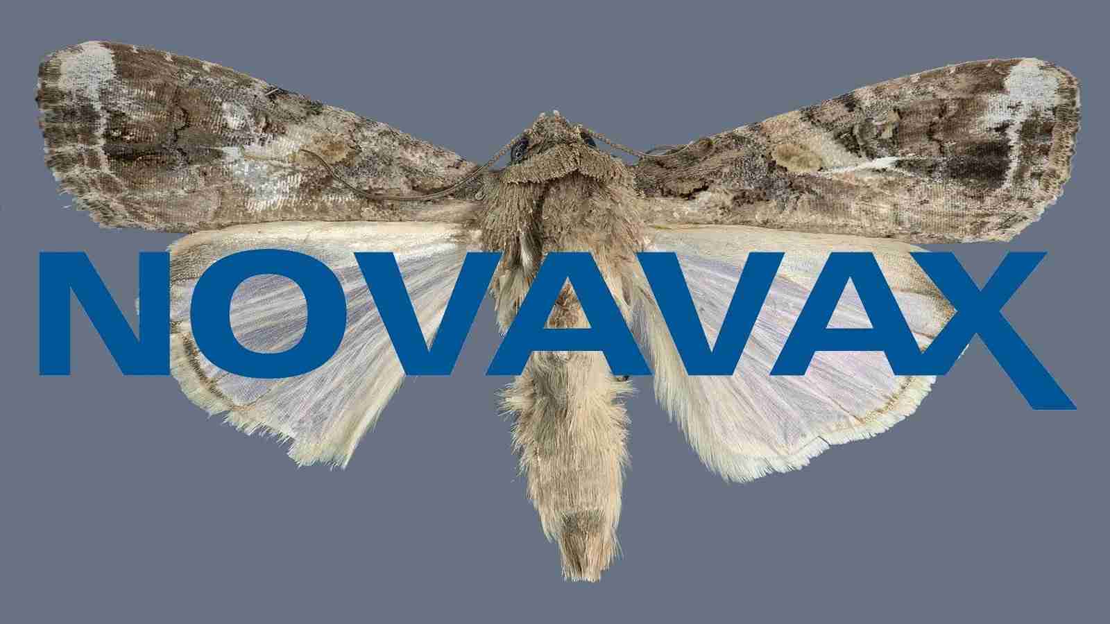 Gary Collier Blog Novavax