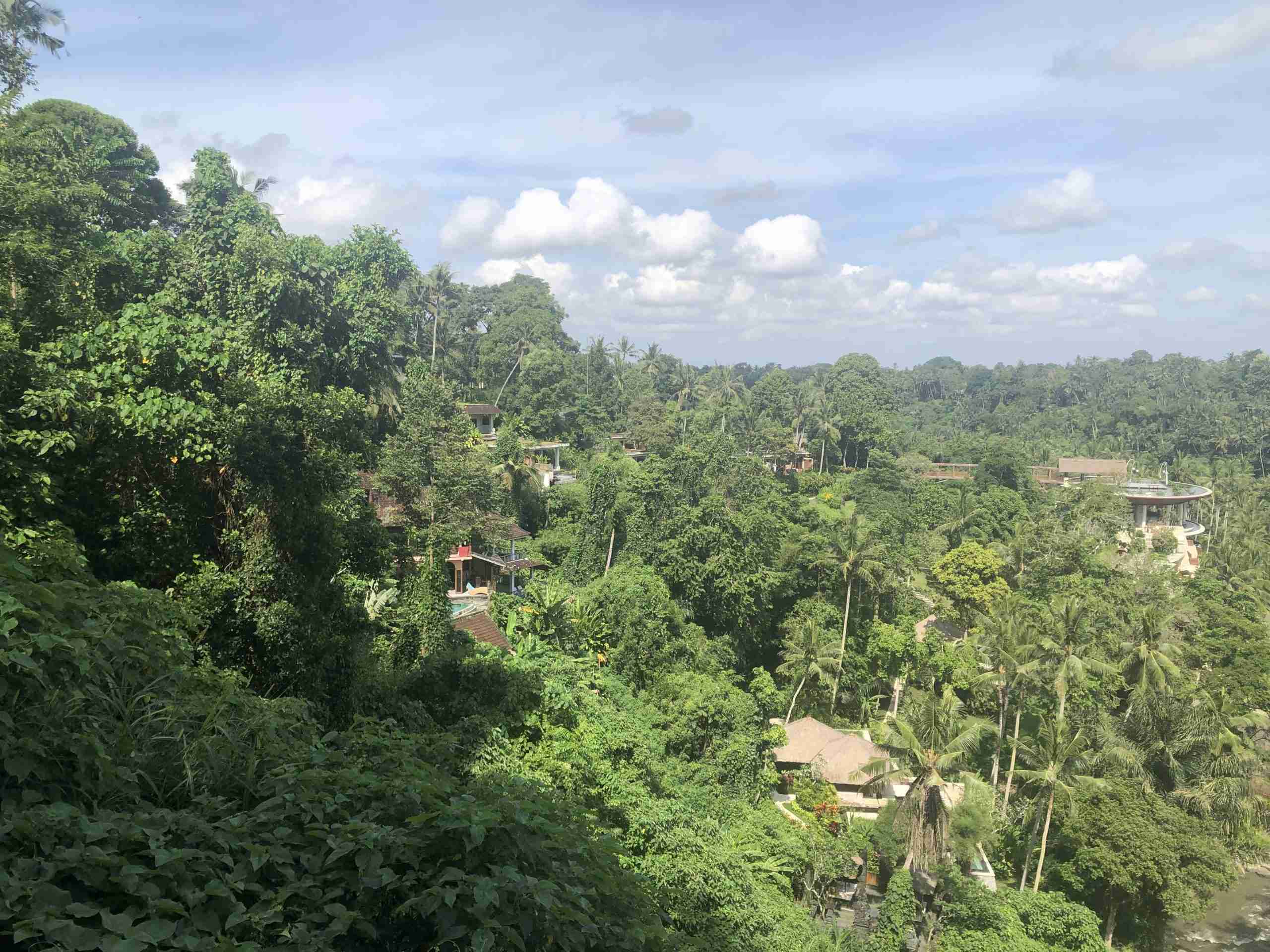 Photo of a tropical valley in bali