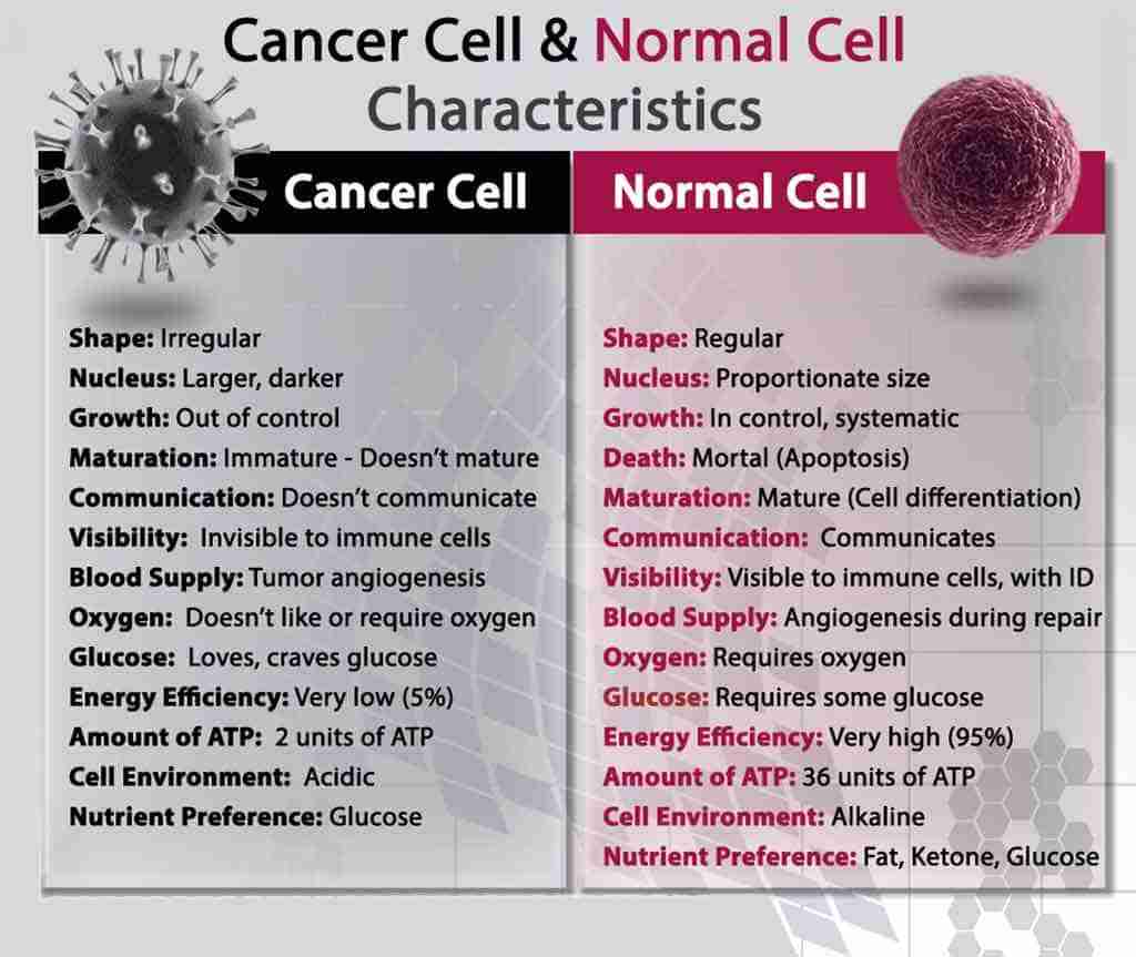 Comparison between cancer cells and healthy cells.