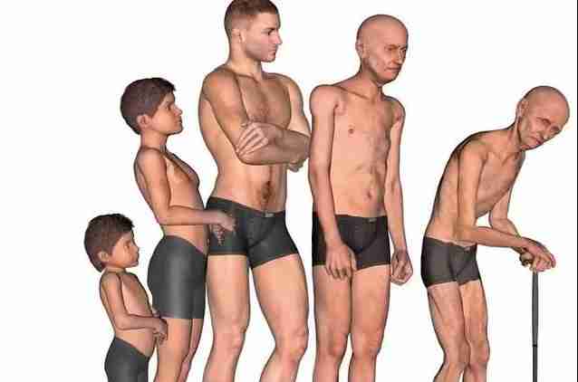 A man at different muscular stages of life