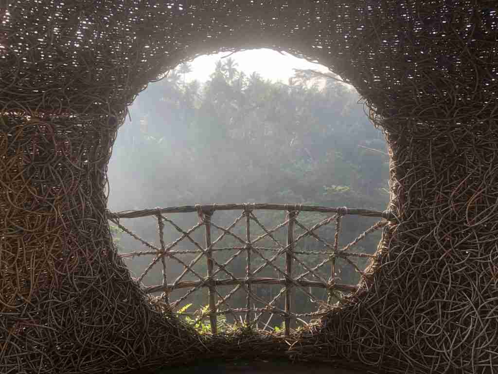 Bali Jungle