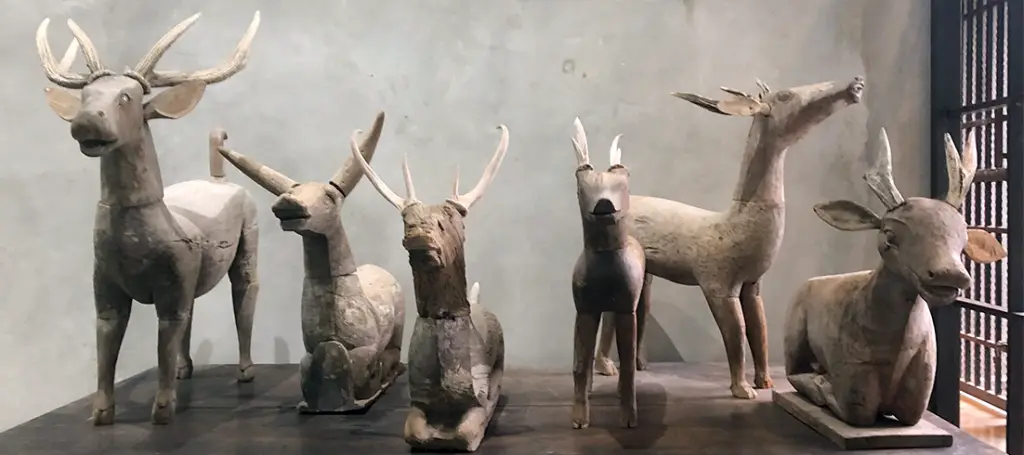 hand carved wooden animals in art gallery