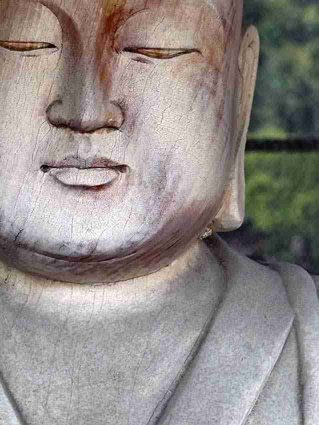 a serene but fat asian face